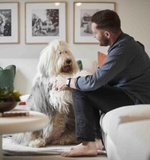 HarperCrewe - Rightmove -